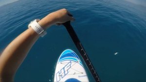 Как кататься на SUP борде