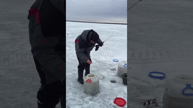 Смешное видео, рыбалка на балансир не клюёт, зимняя рыбалка Воже, опытный рыболов