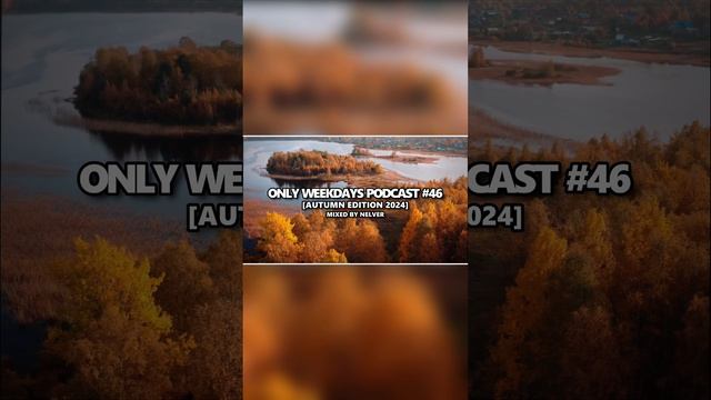 Nelver - Only Weekdays Podcast #46 (Autumn Edition 2024) ... #shorts