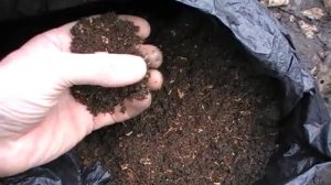 Грунт для цитрусовых своими руками. Сад и огород выпуск 219