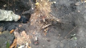 КОП. Скифский пазл.