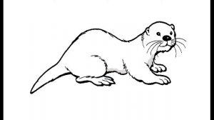 Как нарисовать Выдру. Раскраска Выдра для детей