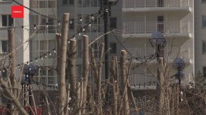 Депутаты Горсовета обсудили содержание зеленого фонда