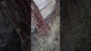 Как сделать мини парник (туннель) для клубники своими руками.