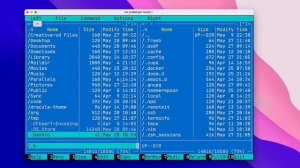 My FAVORITE File Manager - Complete Midnight Commander Tutorial