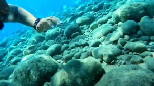 Турция ?? Как обманывают туристов Бельдиби Alexius Beach Hotel 4* Территория питание пляж