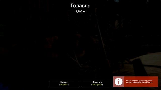 Гайд по ловле голавля на Вьюнке фидером. Розыгрыш фидеров для начинающих • Русская рыбалка 4