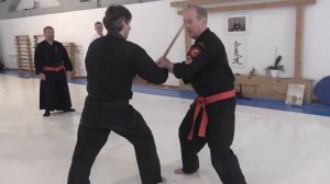 Seminar in Ukraine by Soke Jan Erik Karlsson 10 Dan. 25-26.02.2017