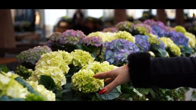 Троян - Сладкие сны смотреть онлайн