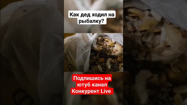 Как я хожу на рыбалку в Питере! #dumpsterdiving #мусорки #конкурентlive #свалка #стасаскет #находки