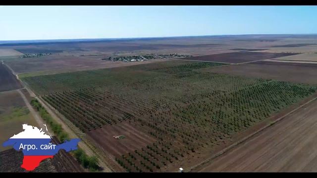 Фруктовый сад №1 в близи с. Кировское Черноморского р-на, участки сельхоз назначения, вид с высоты смотреть онлайн