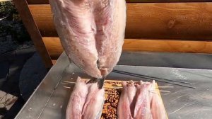 Вяленая Селедка. Особая!