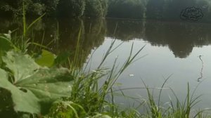 ASMR / АСМР шепот / Истории из детства / Лето и приключения на пустом месте / Теплые воспоминания