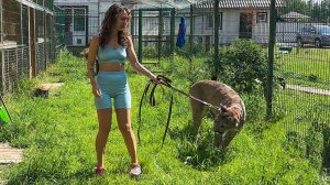 ГУЛЯЮ С НАСТОЯЩЕЙ ПУМОЙ! / Рысята в гостях