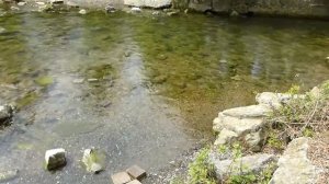 дом Бабы Яги и БОМЖ на Американской дороге !