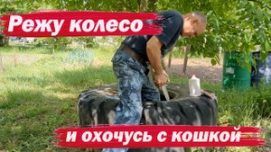 Режу колесо. Охочусь с кошкой