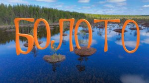 Болото. Весенний Паводок. Природа Коми.