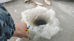 Подлещик зимой. Ловля подлещика на мормышку.