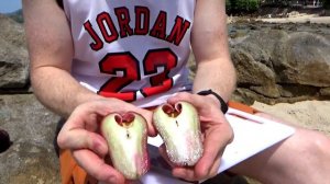 Пробуем экзотические фрукты Тайланда. Топ экзотических фруктов. Наш топ странных фруктов из Таиланд