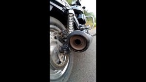 Harley Davidson Street 750 Stock Exhaust note❤🔥//Harley Davidson Exhaust note💥💥//V-Twin Roar🔥🔥