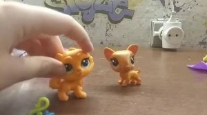 LPS: распаковка лпс лаки пэтс редкий Пэт!!!