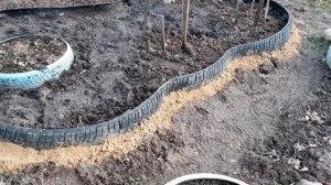 Как сделать большую клумбу из старых покрышек.