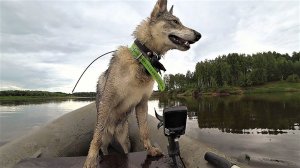 ЭТОГО ВИДЕО БЫТЬ НЕ ДОЛЖНО! ПЛАНЫ РУХНУЛИ! Видео “ТРЕТИЙ ДЕНЬ РЫБАЛКИ В ТРОСОВОЙ ЭКСПЕДИЦИИ.