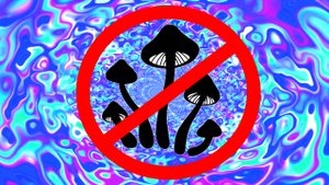 Быстро избавиться от плесени, грибка.