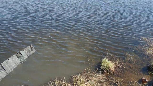 Поисковый магнит разбил машину... смотреть онлайн