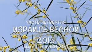 Израиль весной 2015 (часть 4) Окрестности Эйн-Ход