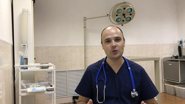 Почему у кошки выпадает шерсть, выпадение шерсти у кошек смотреть онлайн