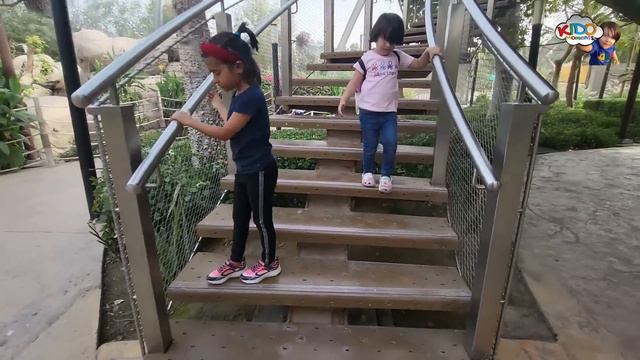 Dubai Safari Park Adventure 2022| Dubai Zoo | Al Ain Zoo | Complete Tour 2022 | Tourist Attractions смотреть онлайн