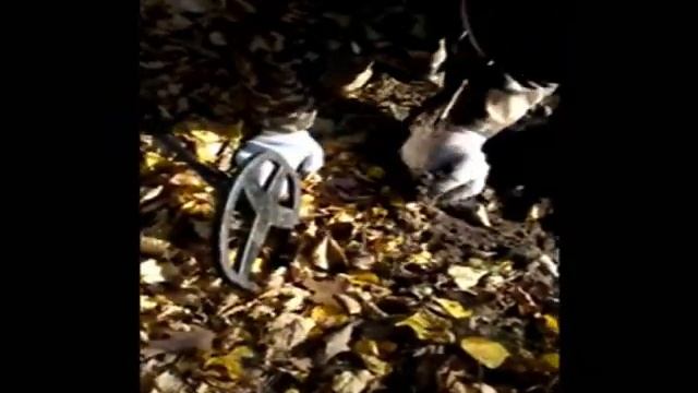 Клад царских монет смотреть онлайн