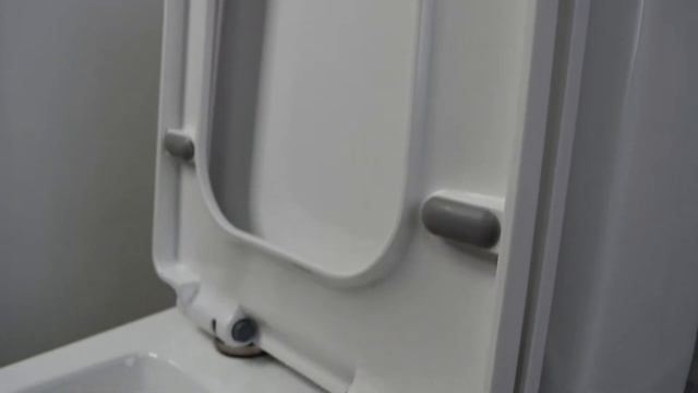 Унитаз-моноблок EvaGold T1027 с горизонтальным выпуском смотреть онлайн