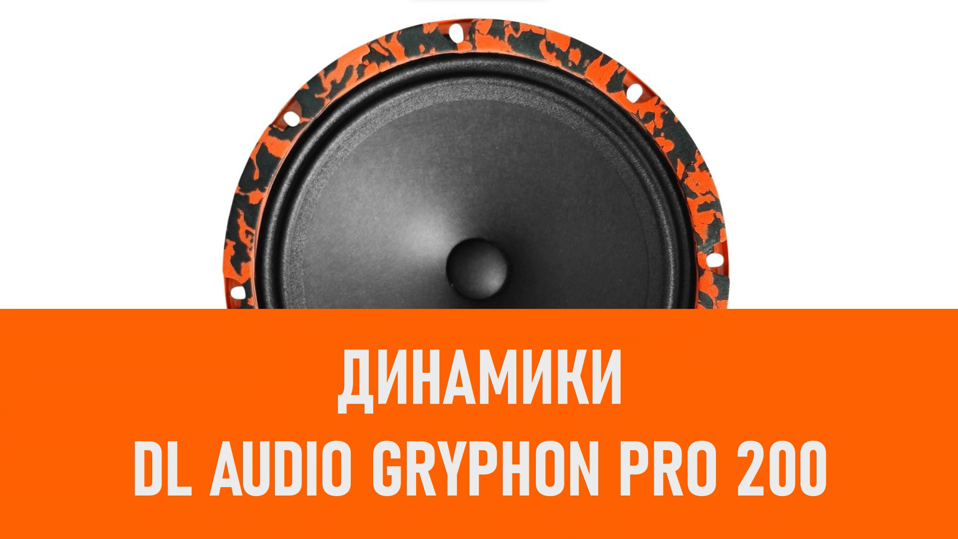 Распаковка динамиков DL Audio Gryphon Pro 200
