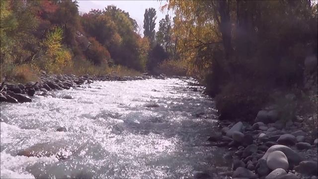 Осенняя река и красивые листья. Расслабляться