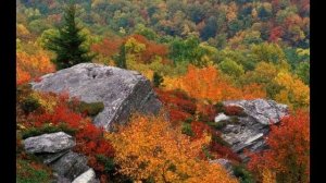 Релакс Красивая релакс музыка для расслабления и отдыха