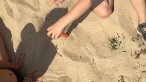 Обзор полезного металлоискателя gp-pointer