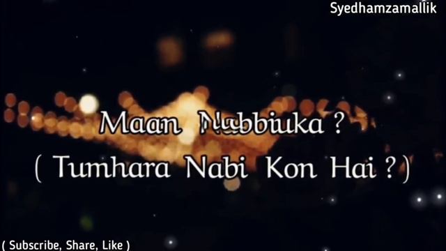 Syed Hamza malik смотреть онлайн