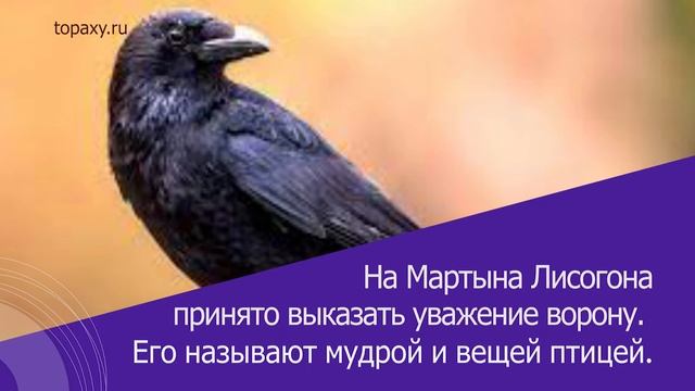 Какой сегодня праздник 27 смотреть онлайн