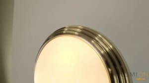 Настенно-потолочные светильники LUMION KAYLA 5262 3C 5262 2C