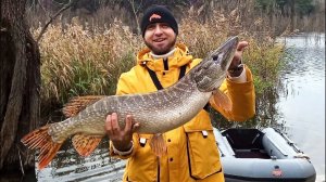 ОГРОМНЫЕ ЩУКИ ОСЕНЬЮ! ПОБИЛ РЕКОРД ПО ЩУКЕ ДВАЖДЫ! ТРОФЕЙНАЯ ЩУКА 2023!