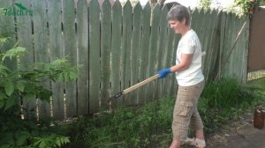 Сидераты: как правильно заделать в почву - 7 дач