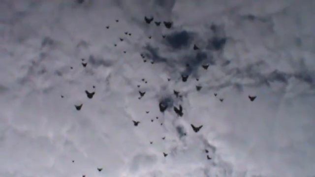 Утроения разминка . смотреть онлайн