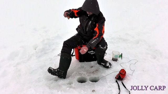 РЕАКЦИЯ РЫБЫ НА ЧЕСНОК/ ТАК ВОТ, ЧТО ПРИВЛЕКАЕТ рыбу. Окуни ПРИШЛИ НА ЧЕСНОК .