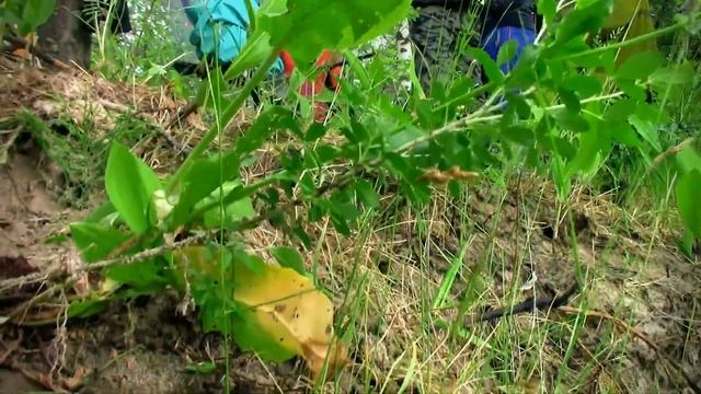 Река Унжа (сплав по реке Унжа) смотреть онлайн