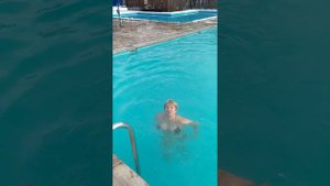 термальные источники .Апшеронский район,Гуамское ущелье,база Водолей.