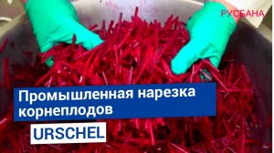 URSCHEL Промышленная нарезка корнеплодов на шайбы, соломку