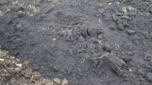 Как улучшить плодородие и структуру почвы / Как обогатить структурировать почву