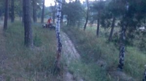 зид 200 тарпан